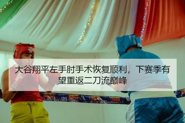 da-gu-xiang-ping-zuo-shou-zhou-shou-shu-hui-fu-shun-li-xia-sai-ji-you-wang-chong-fan-er-dao-liu-dian-feng-2-781.jpg